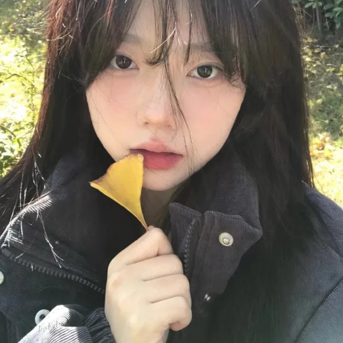 蔷薇的记号